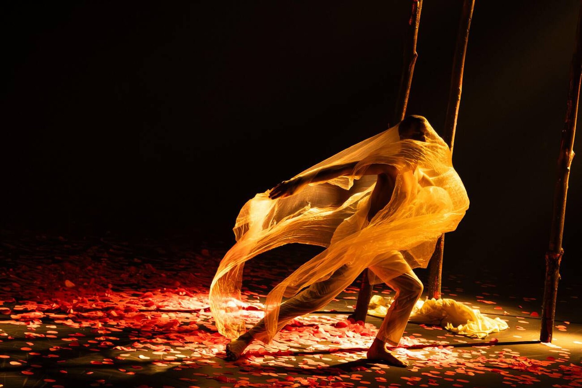 kiralik-katil-neden-tutmamalisin- (2)